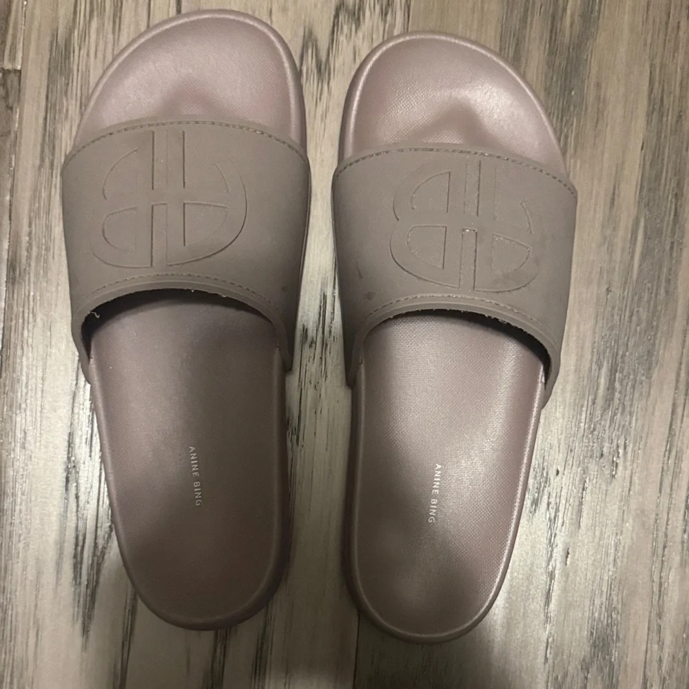 Anine Bing Women's Taupe Slide Sandals - Picture 1 of 3
